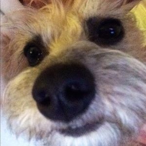 Meet your Posher, Sue